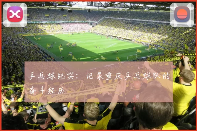 乒乓球纪实：记录重庆乒乓球队的奋斗经历