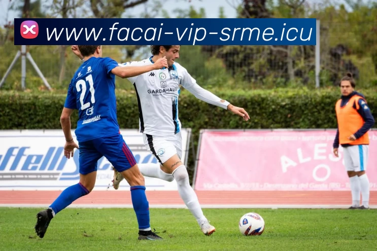 乐鱼体育品牌故事